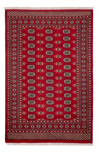 Pakistani Rug 179x258cm - Oriental Rug