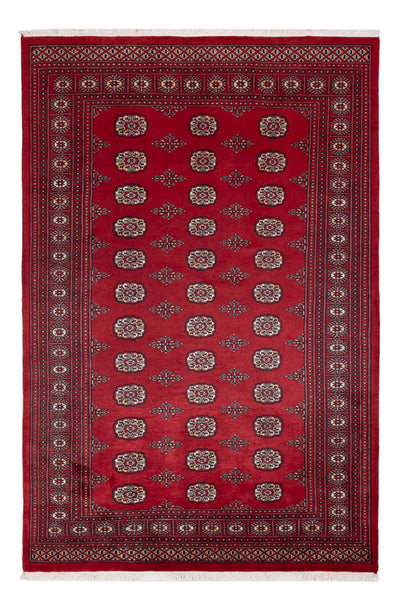 Pakistani Rug 167x249cm - Oriental Rug