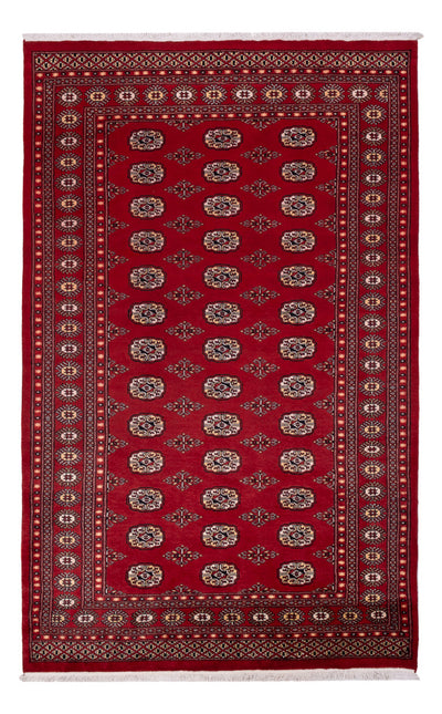 Pakistani Rug 167x266cm - Oriental Rug