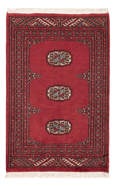 Pakistani Rug 61x90cm - Oriental Rug