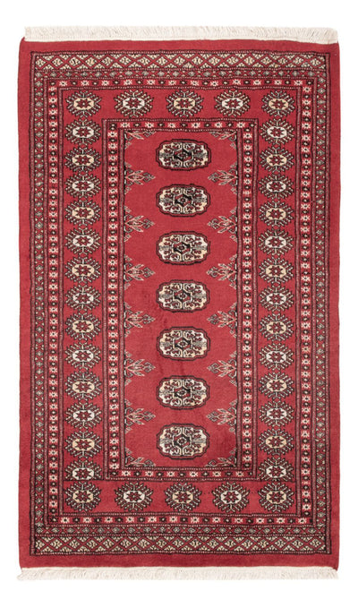 Pakistani Rug 90x150cm - Oriental Rug