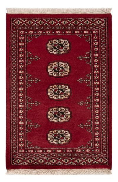 Pakistani Rug 61x90cm - Oriental Rug