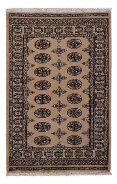 Pakistani Rug 97x152cm - Oriental Rug
