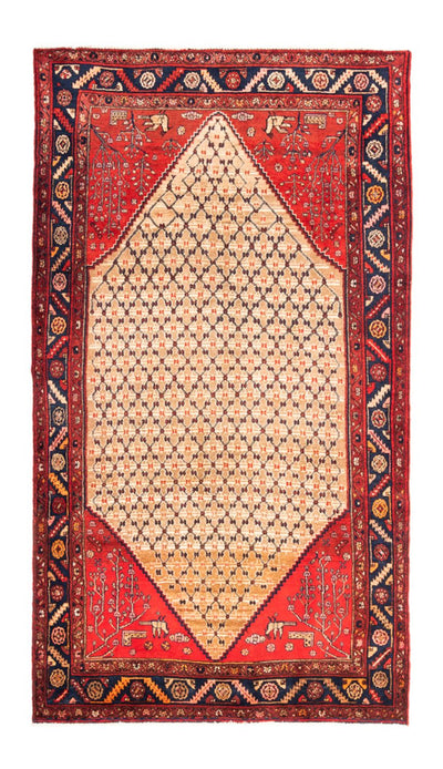 Kolyai Rug 153x273cm - Persian Rugs