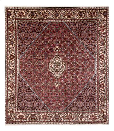 Bidjar - Bukan Rug 253x294cm - Persian Rugs