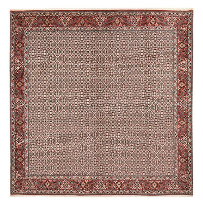 Bidjar Rug 304x306cm - Persian Rugs