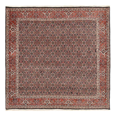 Bidjar Rug 205x205cm - Persian Rugs