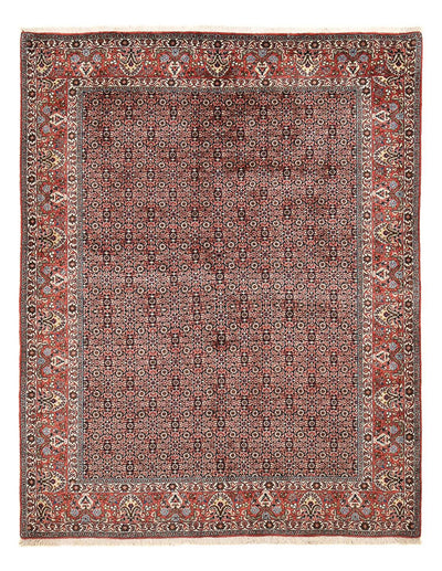 Bidjar Rug 194x247cm - Persian Rugs - rust