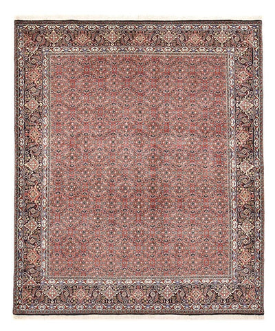 Bidjar Rug 204x244cm - Persian Rugs