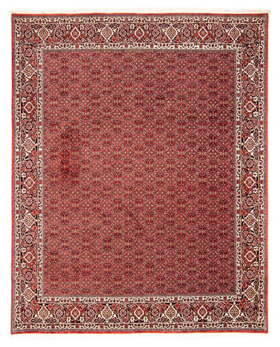 Bidjar Rug 250x290cm - Persian Rugs - red