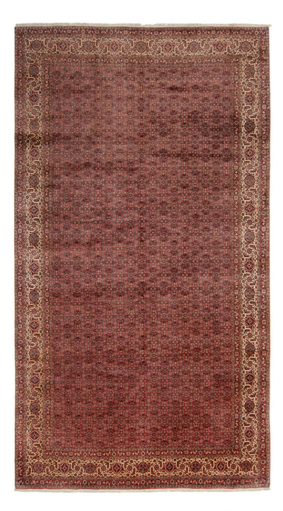 Bidjar - Takab Rug 256x482cm - Persian Rugs - brown