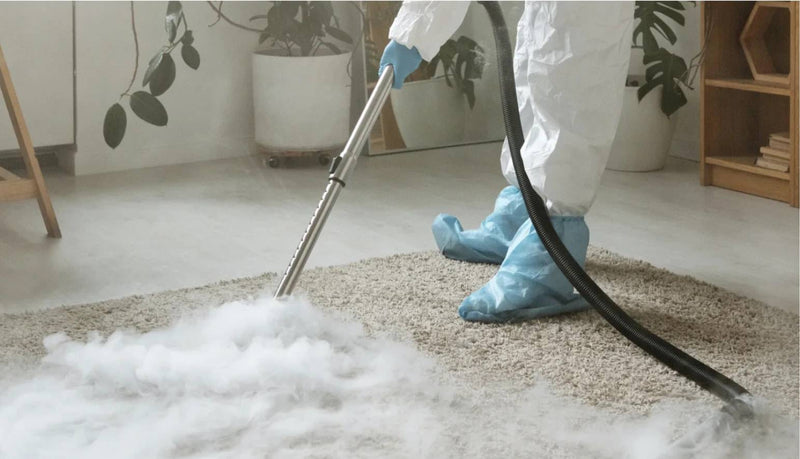 Rug Cleaning (A Complete Guide to Daily Care)