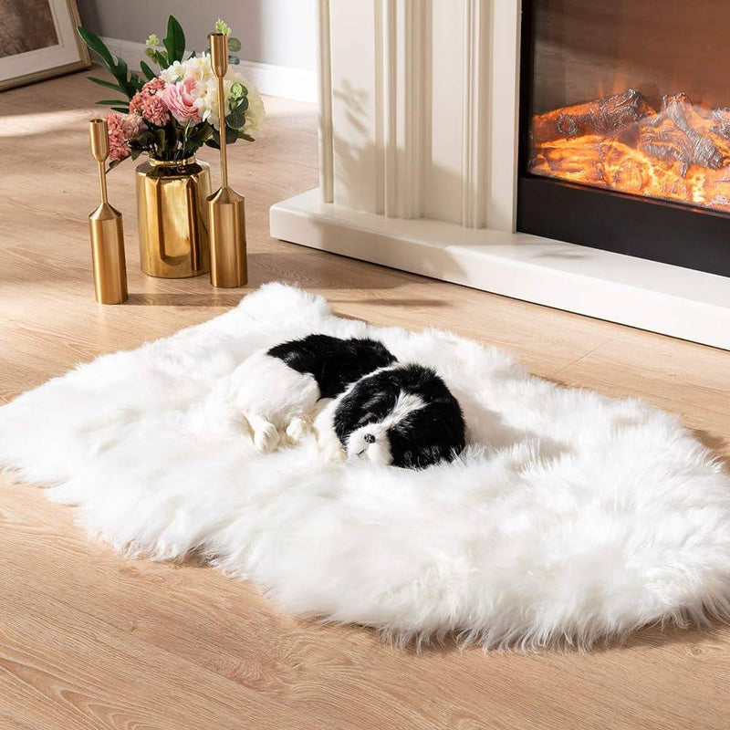 The best rugs for dogs