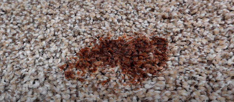 How to remove hair dye from rig?