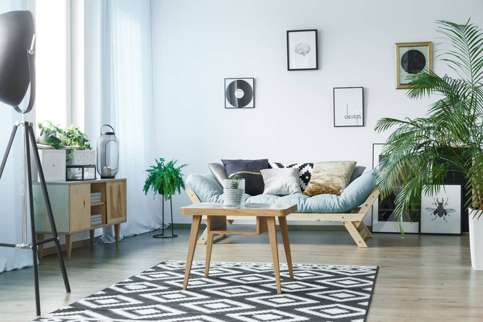 Living room rug: tips and inspiration