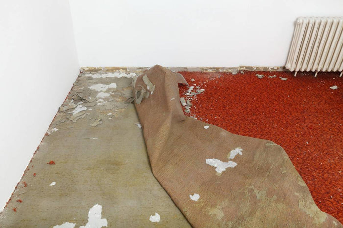 Disposal and recycling of rugs