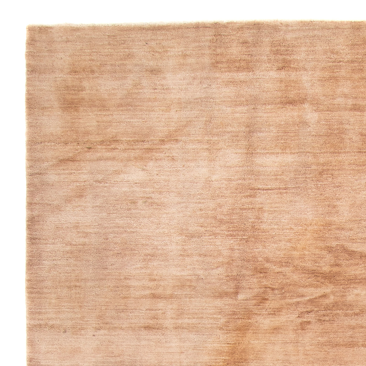 Ziegler Rug - Modern - 300 x 200 cm - beige