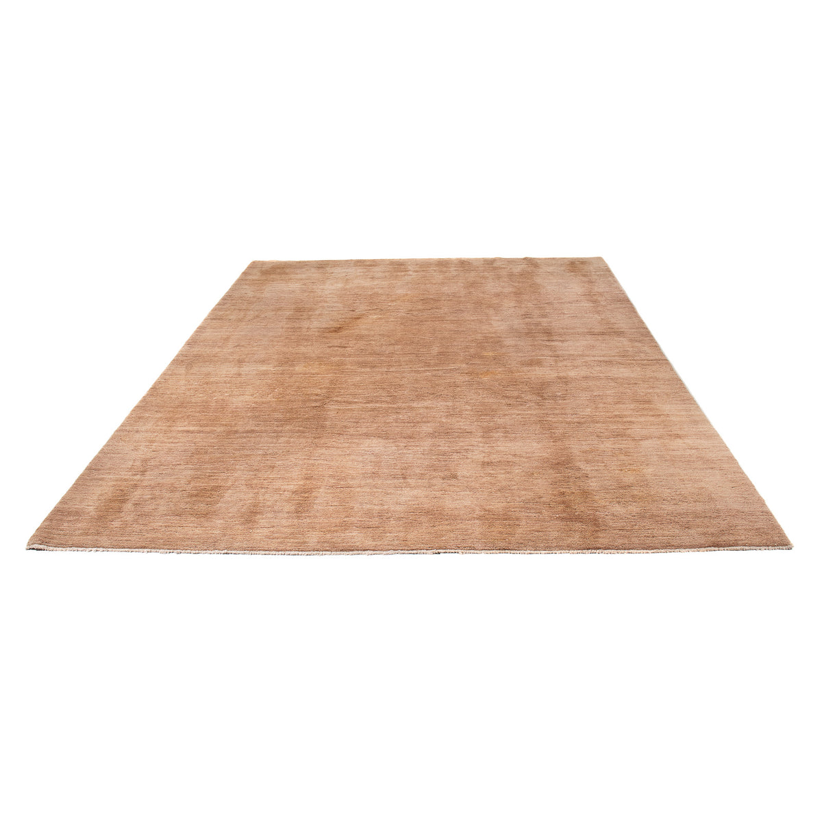 Ziegler Rug - Modern - 300 x 200 cm - beige