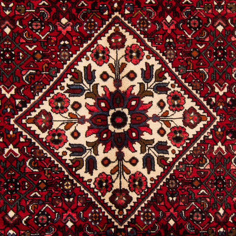 Hamadan Teppich 310x165cm - Perserteppich