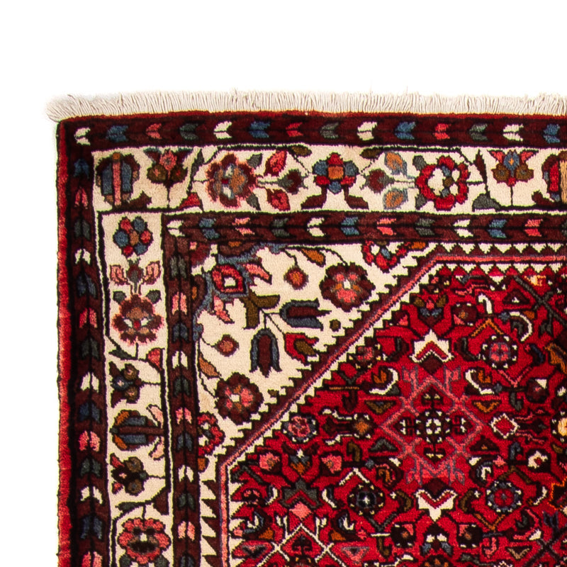Hamadan Teppich 310x165cm - Perserteppich