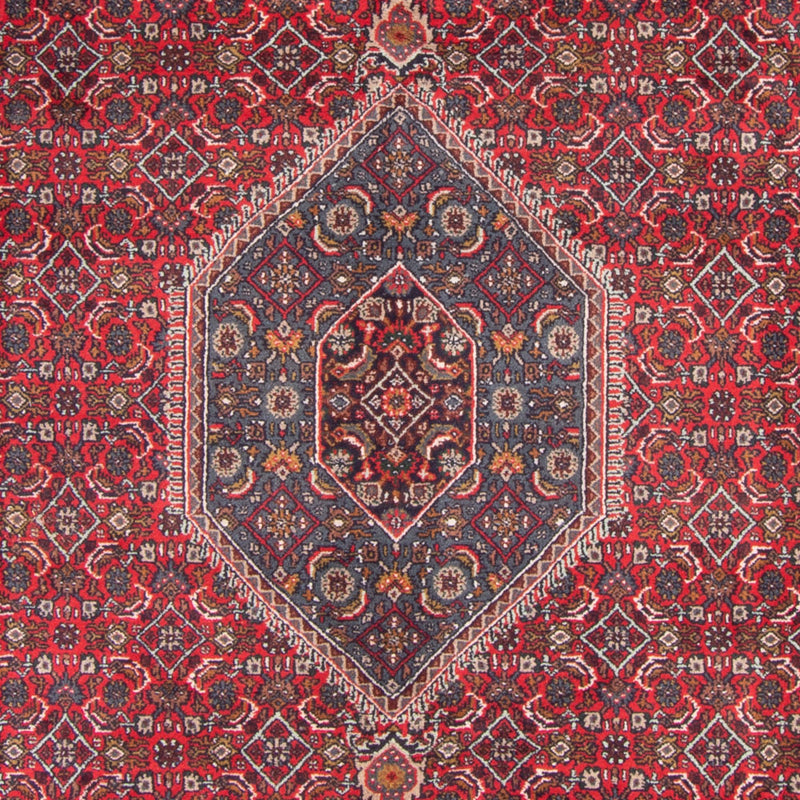Oriental Rug - Bidjar - Indus - 338 x 251 cm - red