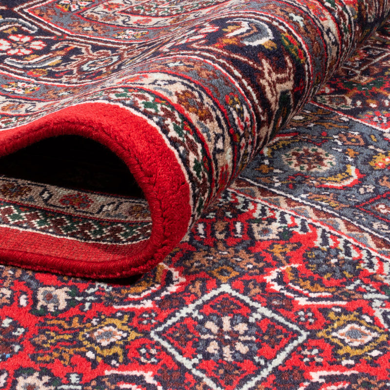 Oriental Rug - Bidjar - Indus - 338 x 251 cm - red