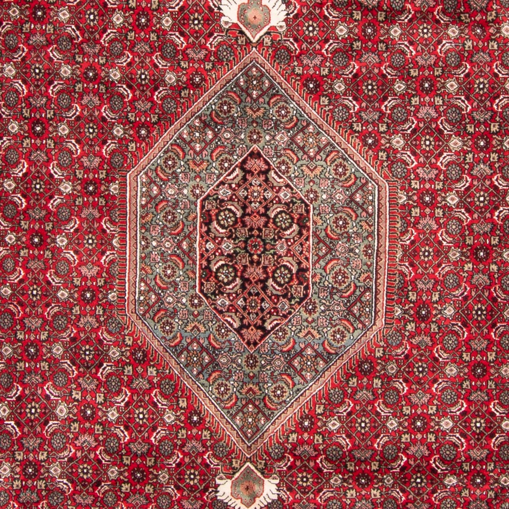 Oriental Rug - Bidjar - Indus - 361 x 255 cm - red