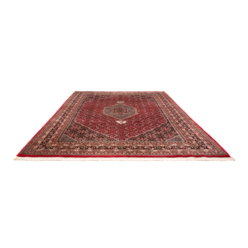 Oriental Rug - Bidjar - Indus - 361 x 255 cm - red