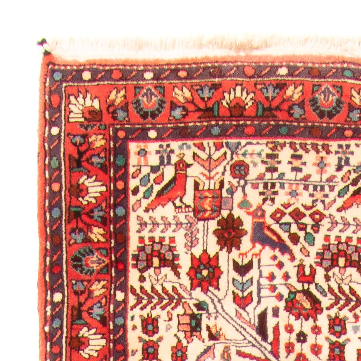 Rudbar Rug 169x301cm - Persian Rugs