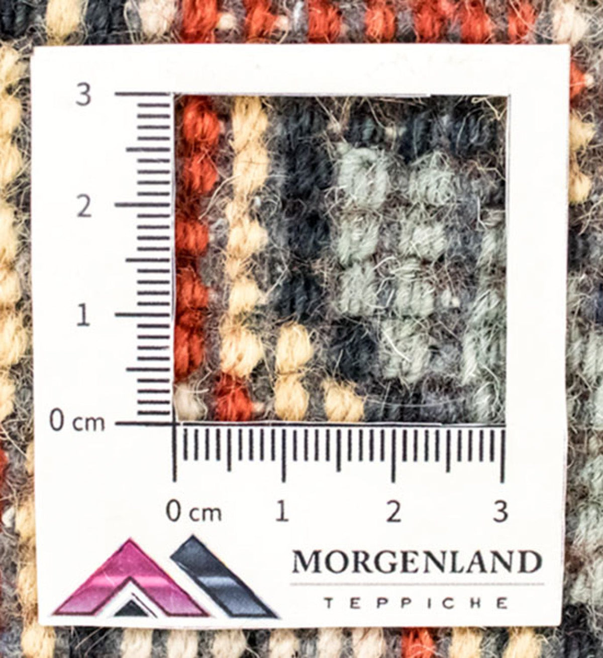 Oriental Rug - 301 x 198 cm - red