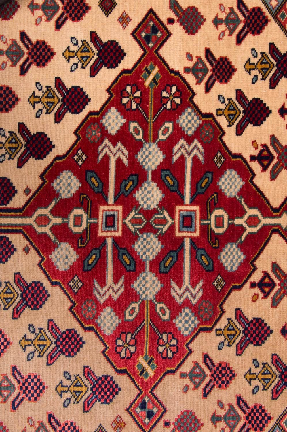Shirvan Rug 200x133cm - Oriental Rug