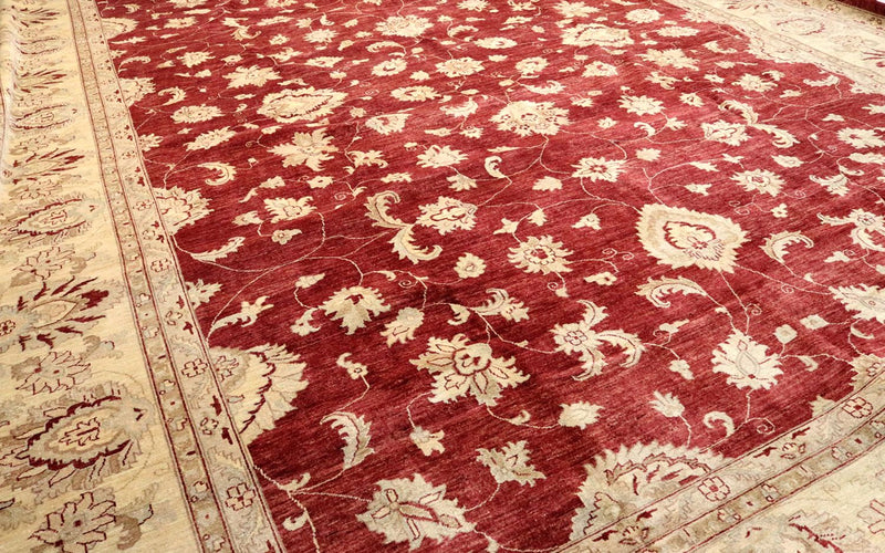 Ziegler Rug - 567 x 421 cm - red