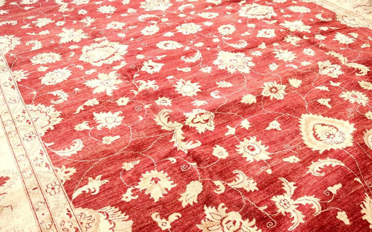 Ziegler Rug - 567 x 421 cm - red
