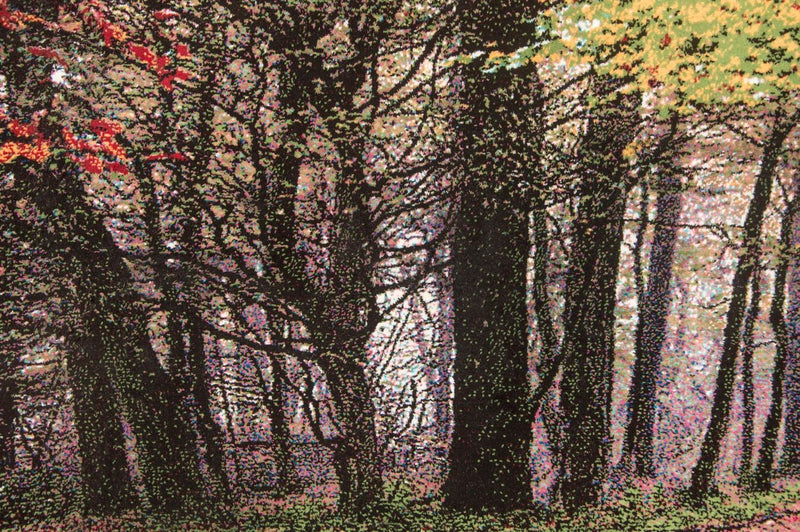 Tapestry - 110 x 63 cm -