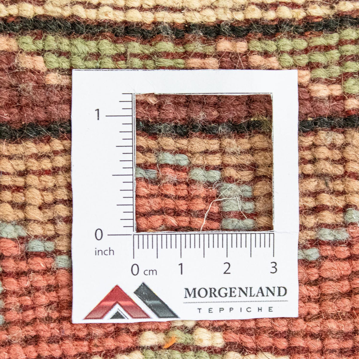 Oriental Rug - 268 x 163 cm - beige