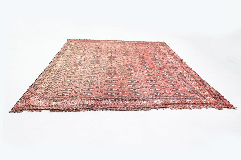 Turkaman Rug - 268 x 195 cm - rose