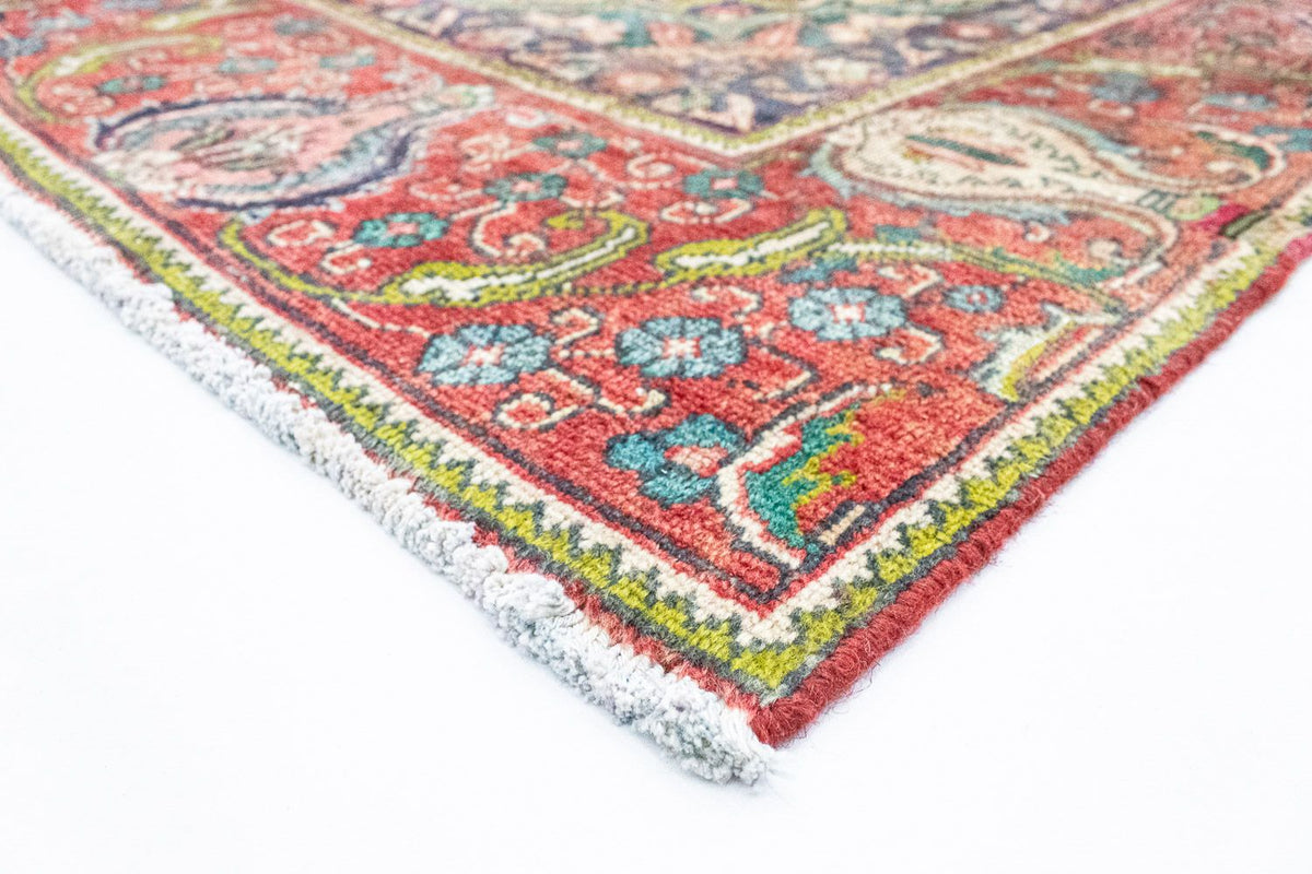 Tabriz Rug 278x365cm - Persian Rugs