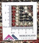 Oriental Rug - 160 x 90 cm - red