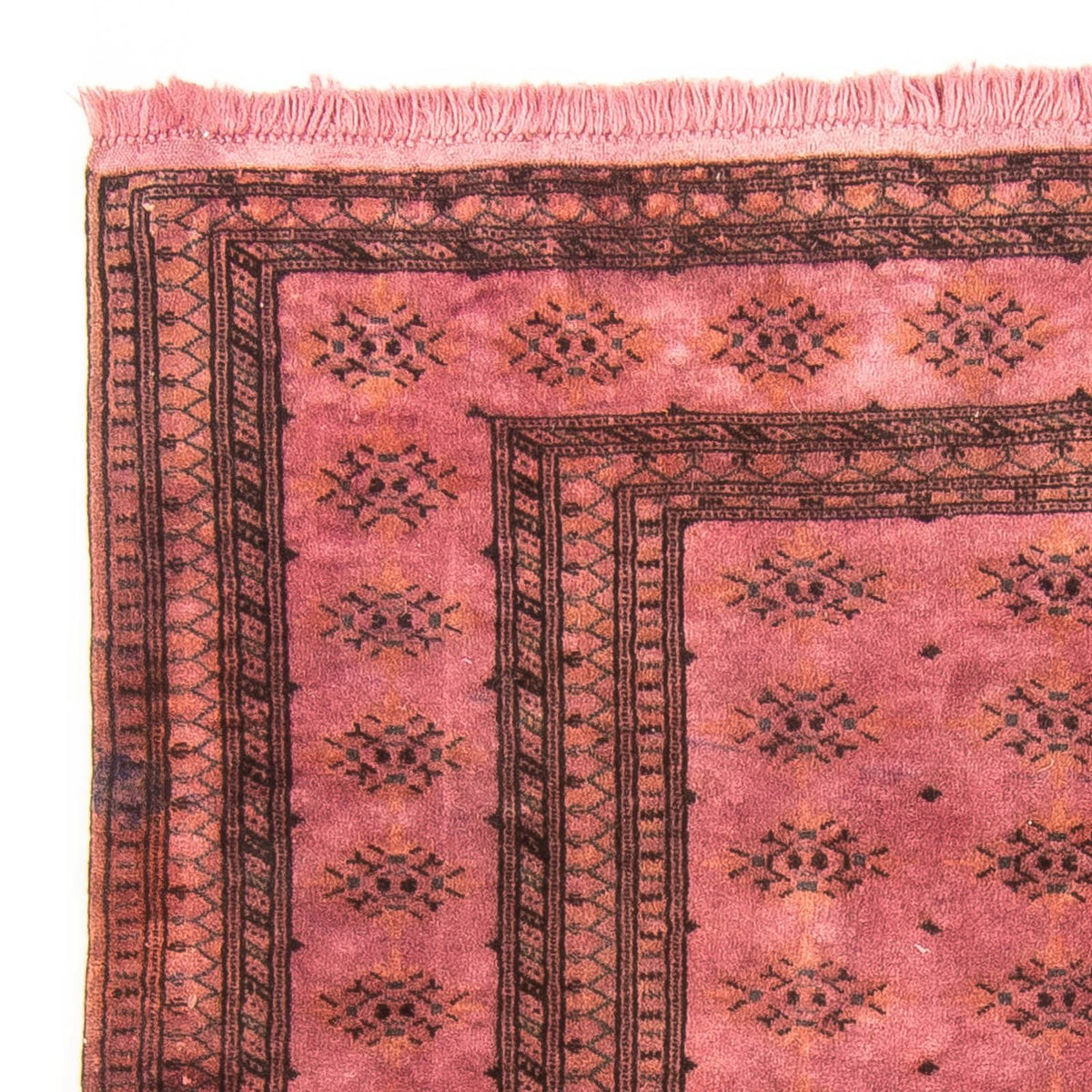 Pakistani Rug - 165 x 131 cm - light red
