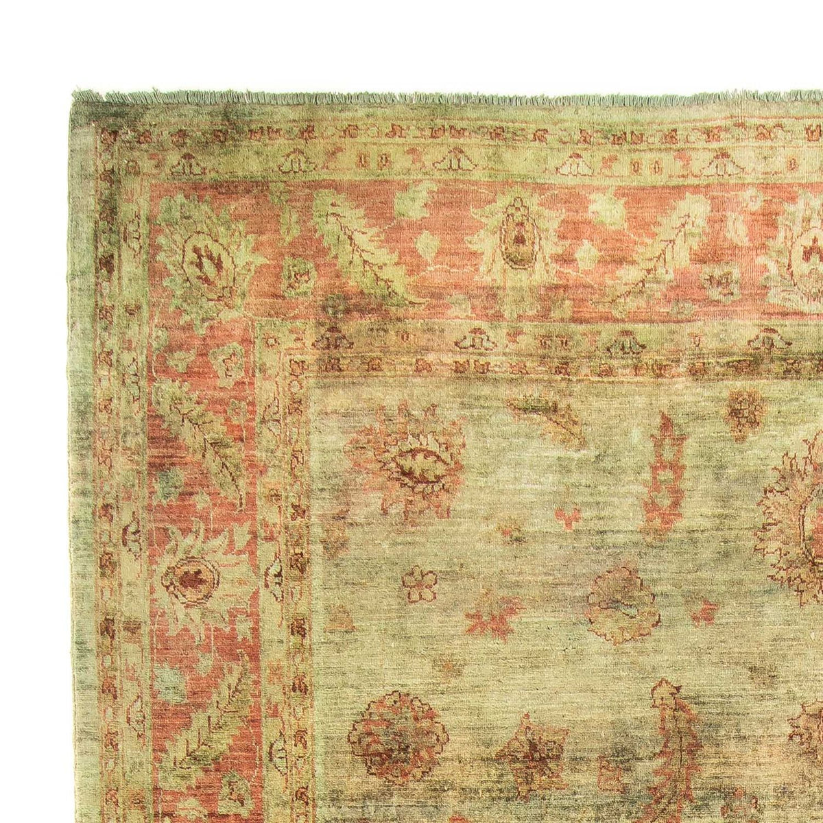 Ziegler Rug - 283 x 215 cm - green