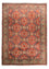 Afghan Rug - Hatschlu - 285 x 208 cm - rust