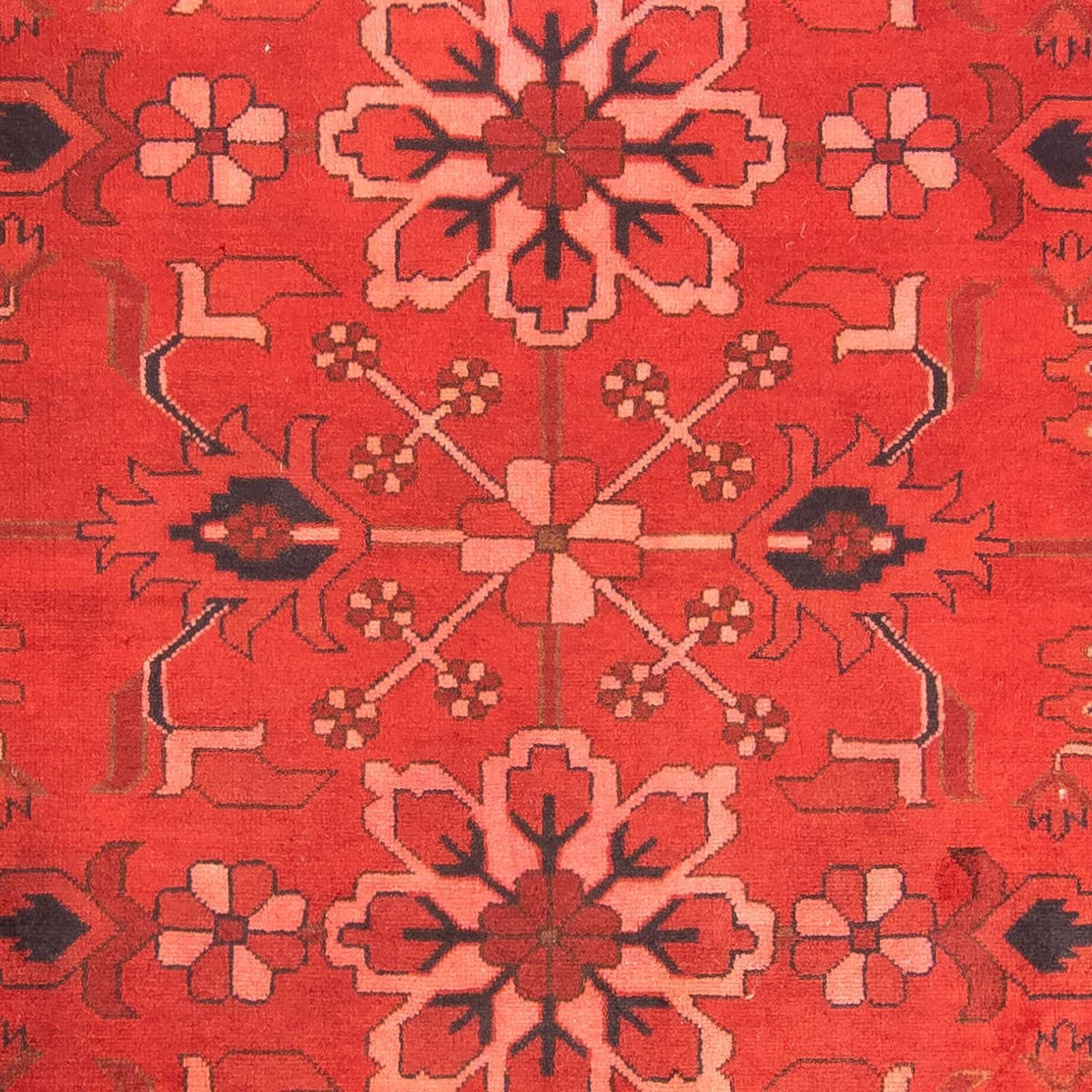 Afghan Rug - Hatschlu - 296 x 210 cm - dark red