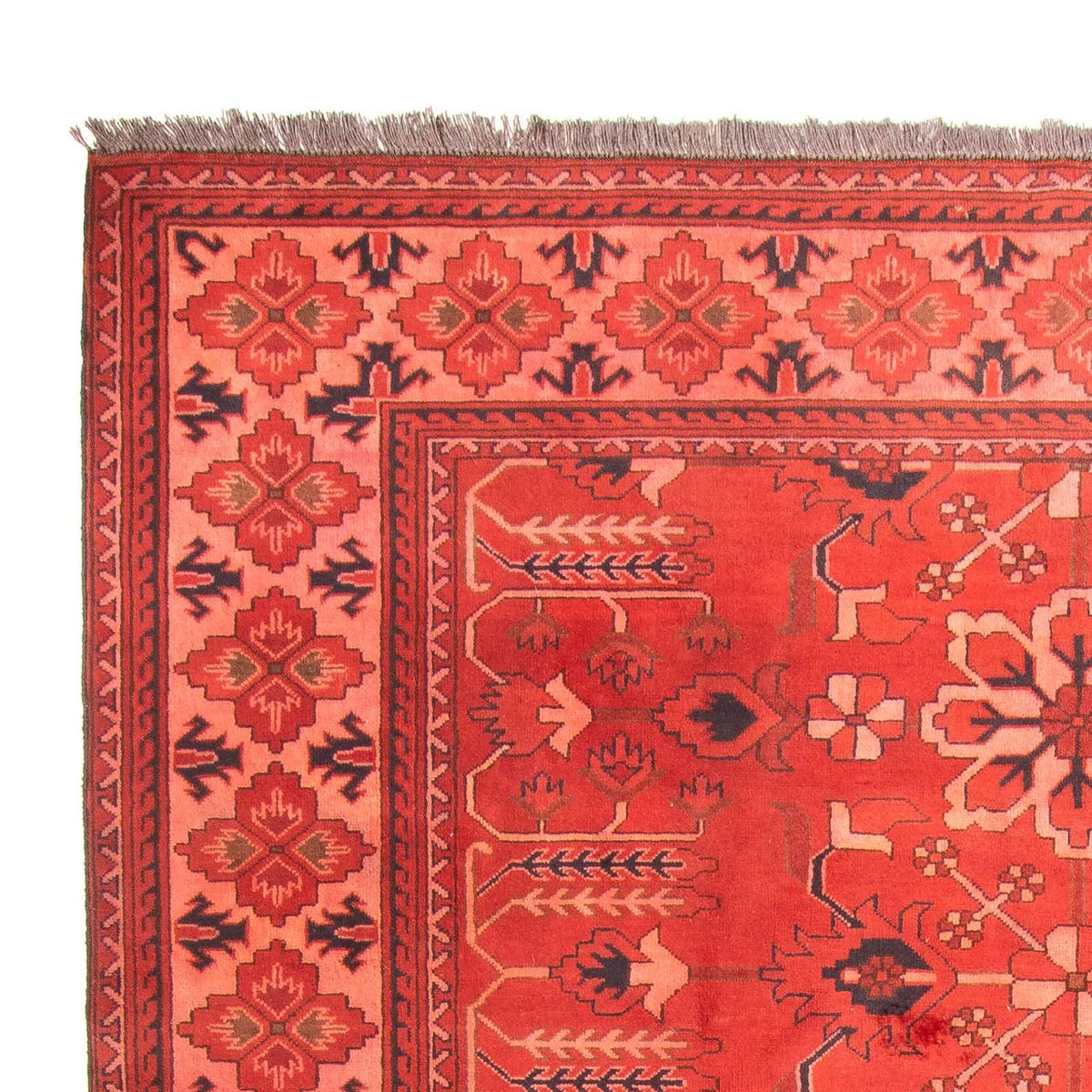 Afghan Rug - Hatschlu - 296 x 210 cm - dark red