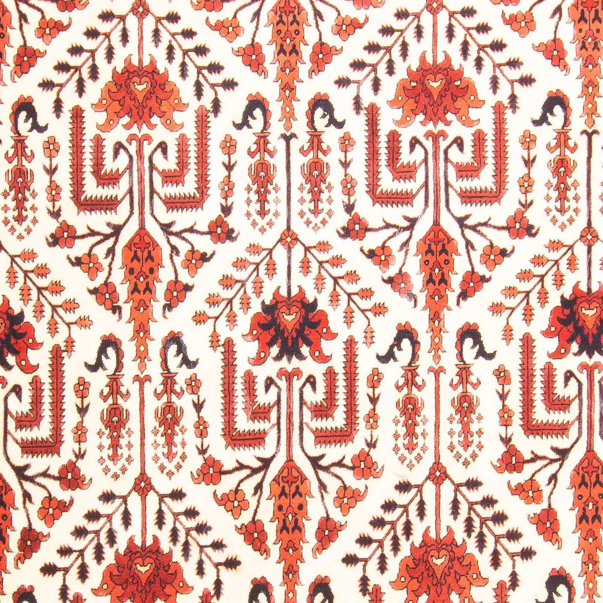 Afghan Rug - 270 x 186 cm - beige