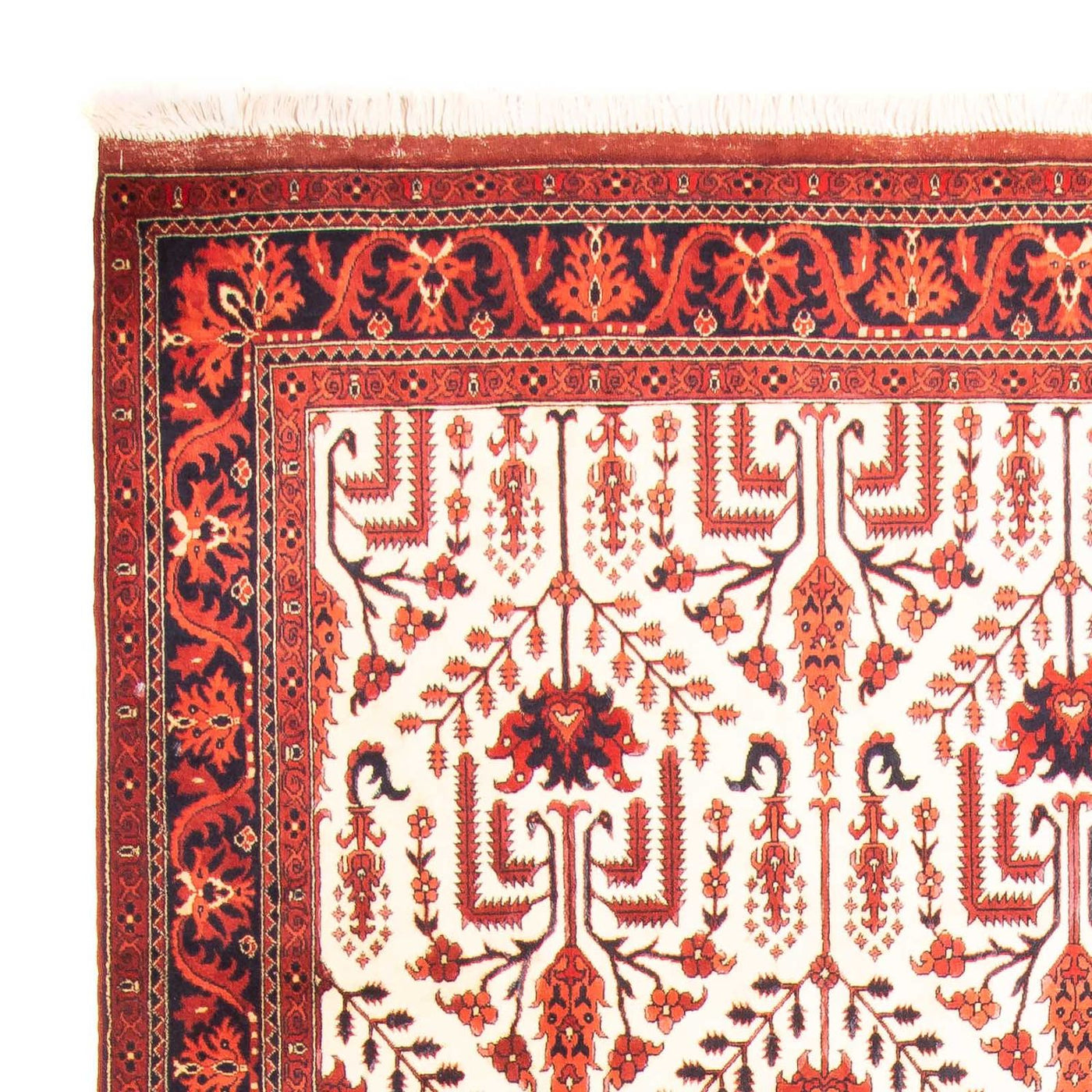 Afghan Rug 270x186cm - Oriental Rug