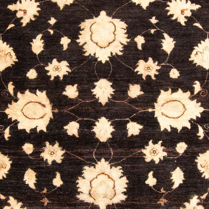 Ziegler Rug - 277 x 205 cm - dark brown