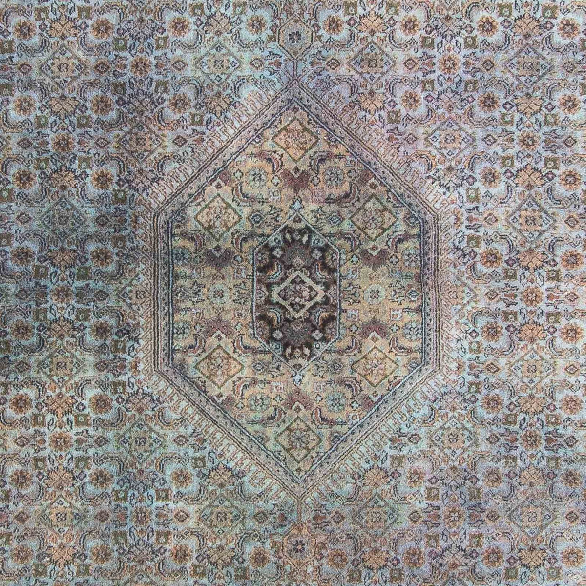 Oriental Rug - Bidjar - Indus - 302 x 200 cm - multicolored
