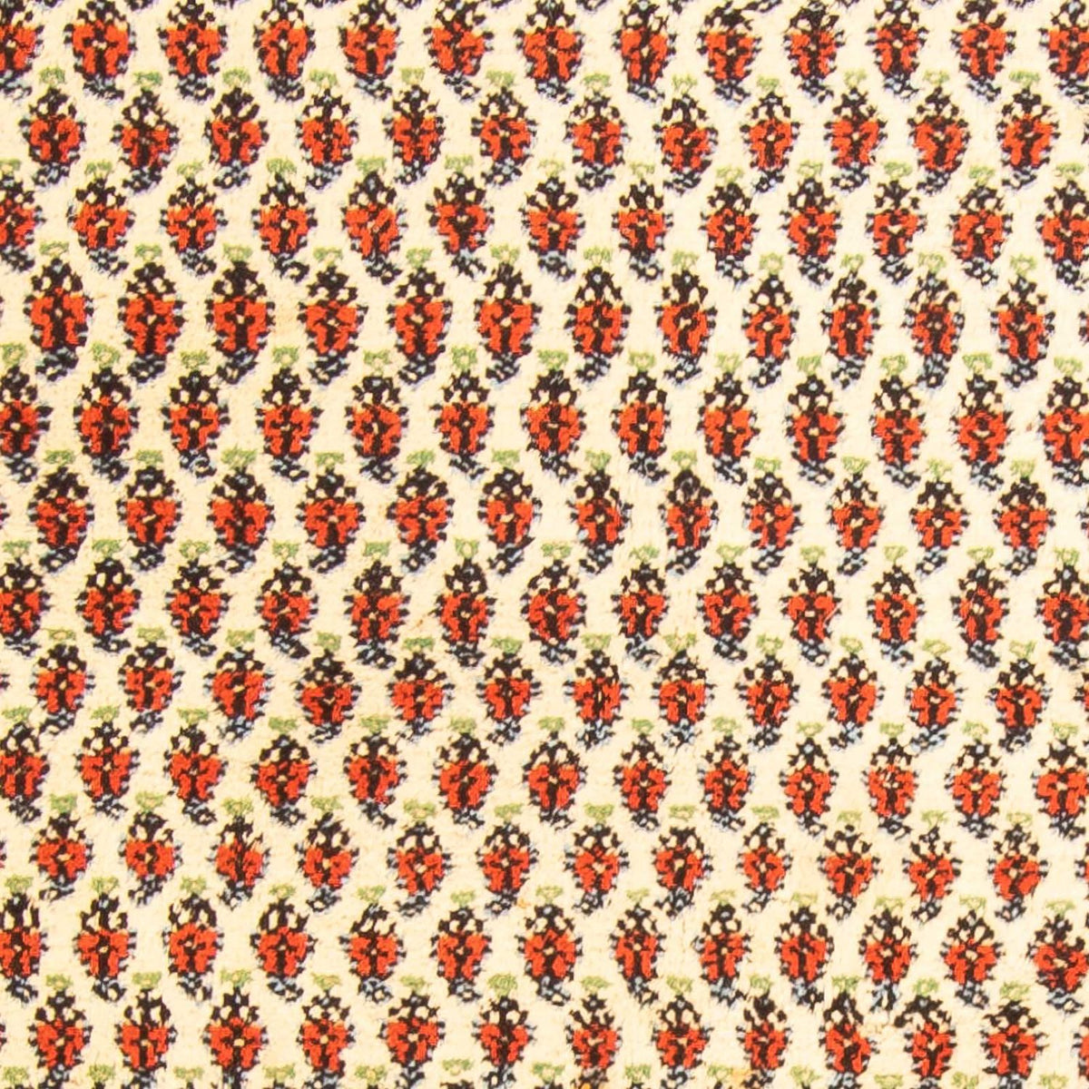 Oriental Rug - Mir - Indus - 238 x 174 cm - beige