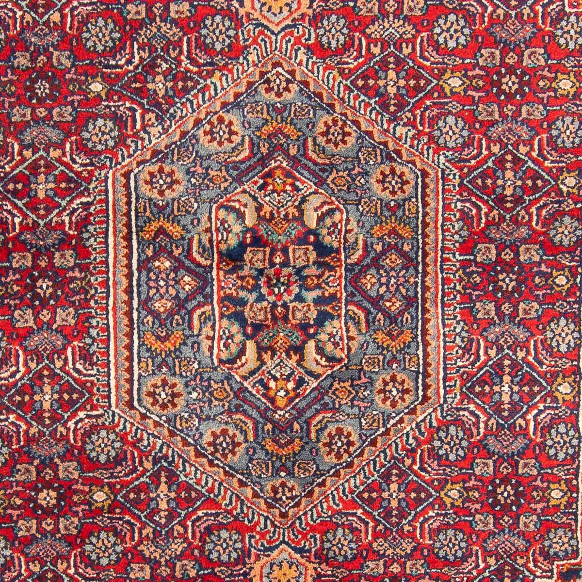 Oriental Rug - Bidjar - Indus - 185 x 129 cm - red