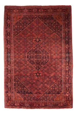 Perser Rug - Bidjar - 327 x 220 cm - dark red